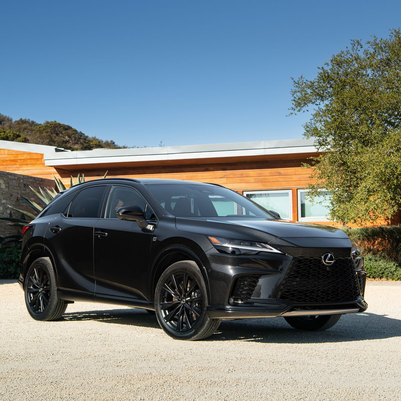 The Most Powerful Lexus RX SUV Ever Combines Luxury and Hybrid Fuel Economy  | Barron's