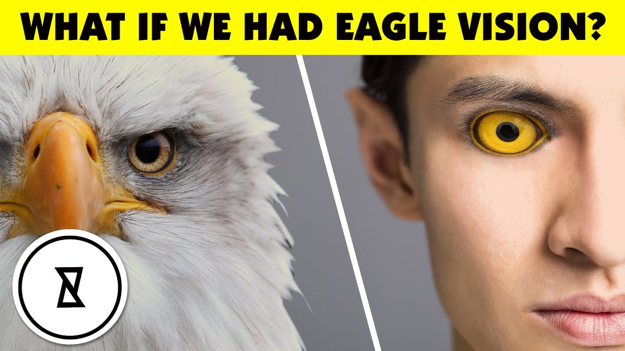 What If We Had Eagle Vision? - YouTube